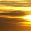 Picture for song 'Praise You' by artist 'Richard Bethell'