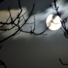 Picture for song 'MOONLIGHT' by artist 'RICHY UNFORGETTABLE FLAMEZ'