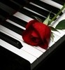 Picture for song 'neva gonna walk away' by artist 'Rick B'