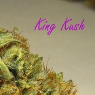 Picture for song '$Kush$.mp3' by artist 'Ricky Jr'