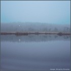 Picture for song 'Instant Audioshot (By the lake)' by artist 'Rinaldo'