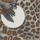 Picture for song 'Keep still - African TWA-rhythm' by artist 'Rinaldo'