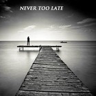 Picture for song 'never too late' by artist 'Rip Limit'