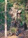 Picture for song '#208-Camouflage Disguise (2000)' by artist 'Rob Lincoln'