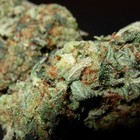 Picture for song 'Keep Flyin' - L.B. feat. REN' by artist 'Renegade Muzik'