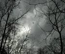 Picture for song 'Call Of The Autumn Wind' by artist 'Rocky West'