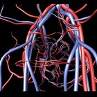 Picture for song 'Redthick Veins' by artist 'Ron AD'