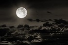 Picture for song 'The Dark Side' by artist 'Roy Cota'