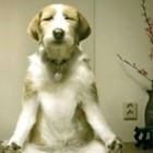 Picture for song 'night pursuit' by artist 'Sam Crain'