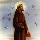 Picture for song 'SAN FRANCISCO DE ASIS 041014' by artist 'SANTORAL'