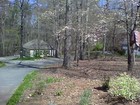 Picture for song 'raking the yard.mp3' by artist 'Saunders Jones Jr'