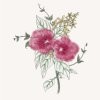 Picture for song 'Petite Waltz' by artist 'Scarlatti'