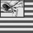 Picture for song 'Scorched Earth U.S.A.' by artist 'Serious Defect'