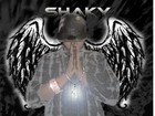 Picture for song 'Yaow(Produced by Motee)' by artist 'Shaky-B'