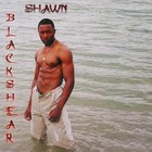 Picture for song 'Insain' by artist 'Shawn Blackshear'