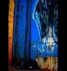 Picture for song 'Southern Flow' by artist 'Shellz318'