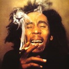 Picture for song 'Ganja NOT AVAILABLE' by artist 'Shiftyproduction'