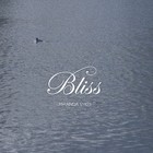 Picture for song 'Sorrowless Bliss' by artist 'Sick Witt It Beats'
