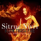 Picture for song 'Blow Torch Fire (feat. YODA & Young Tay)' by artist 'Xitruc NiVri'
