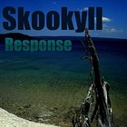 Picture for song 'Sail The Sea' by artist 'Skookyll'