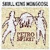 Picture for song 'No Cargo' by artist 'Skull King Mongoose'