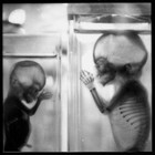 Picture for song 'Jar Buddies :)' by artist 'Smiling all the Time'