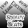 Picture for song 'Soulja Boy Ft.Yo Gotti Type' by artist 'Snowy Beats'