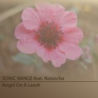 Picture for song 'Angel On A Leash Dubstep Remix feat. Natascha' by artist 'SONiC RANGE'