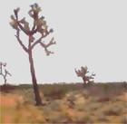 Picture for song 'Give God Praise' by artist 'Soul Therapy'