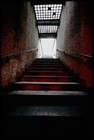 Picture for song 'Escape' by artist 'Sourze Music'