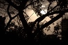Picture for song 'Tears Of Lead' by artist 'Space Villager'