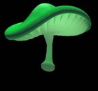 Picture for song 'Shrooms (FREE DL)' by artist 'Squad808'