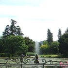 Picture for song 'GO FIND YOURSELF ANOTHER LOVE' by artist 'Stan Loh'