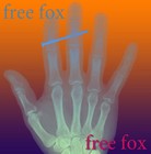 Picture for song 'free fox' by artist 'Stereo2tape'