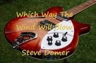 Picture for song 'Which Way The Wind Will Blow' by artist 'Steve Domer'