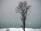 Picture for song 'Dancing Snow' by artist 'Storm Squad Records'