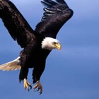 Picture for song 'The Journey - Barry Kettery' by artist 'studioB jazz project'