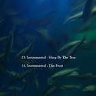 Picture for song 'Instrumental - Surfer On A Mission' by artist 'Sun Setter Rising'