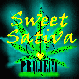 Picture for song 'Don't Take It From Me' by artist 'Sweet Sativa Project'