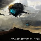 Picture for song 'Bringer of Chaos' by artist 'Synthetic Flesh'