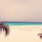 Picture for song 'Paradise' by artist 'Taylor Supreme'