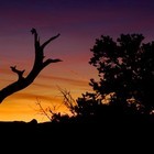 Picture for song 'Chasin da Dream **FREE DL**' by artist 'Tef Jones'