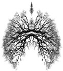 Picture for song 'Tree Lungs' by artist 'TERK'