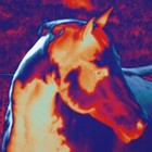 Picture for song 'I came on a horse' by artist 'TerraZonic'