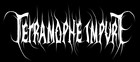 Picture for song 'Eternal Procession' by artist 'Tetramorphe Impure'