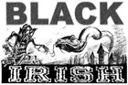 Picture for song 'BLACK IRISH' by artist 'Tha M.C. Nultys'