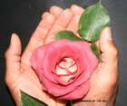 Picture for song 'YOUR SPECIAL LOVE' by artist 'THEARTISTINDIO'