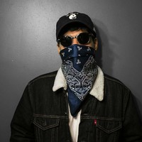 Picture for song 'Westside #g-funk' by artist 'The Chinch'