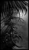 Picture for song 'No Longer Dreaming' by artist 'The Official Bullet Beatz'