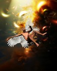 Picture for song 'Flying too Close to the Sun' by artist 'The RT Project'